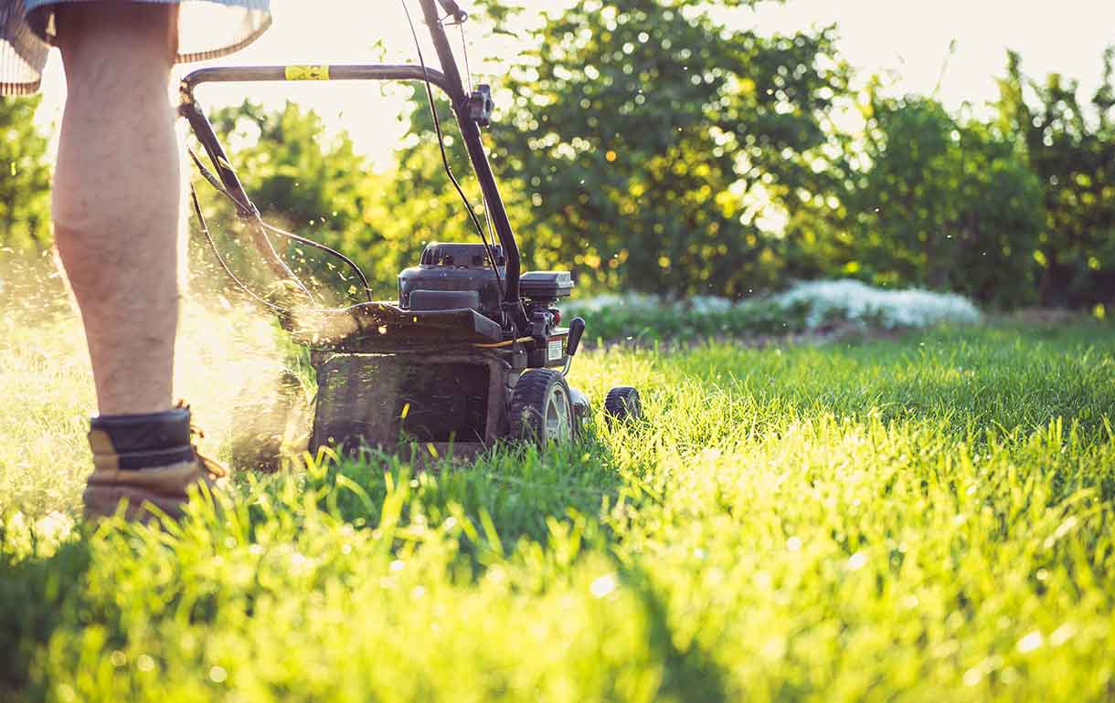 Lawn mower cutting the grass